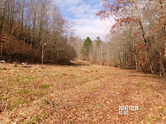 50 Acres of Land for Sale in Flatgap, Kentucky