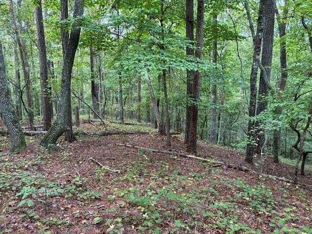 18.94 Acres of Land for Sale in Douglasville, Georgia