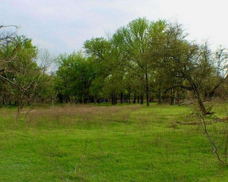 20 Acres of Land for Sale in Dublin, Texas