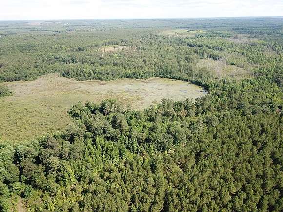 264.1 Acres of Recreational Land for Sale in Rembert, South Carolina