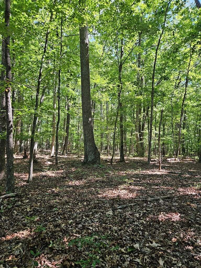 33.89 Acres of Recreational Land for Sale in Dillwyn, Virginia