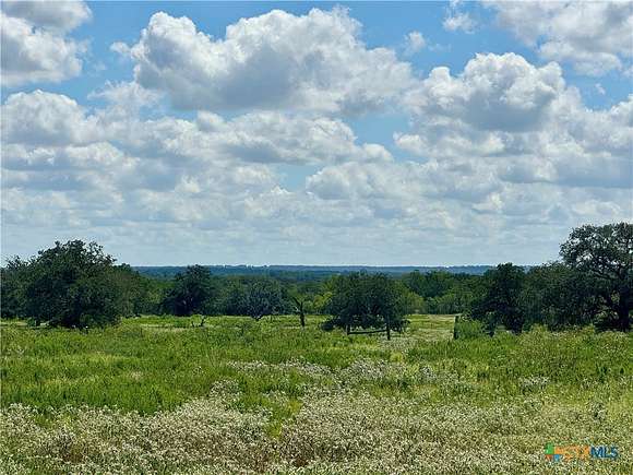 20.009 Acres of Land for Sale in Gonzales, Texas