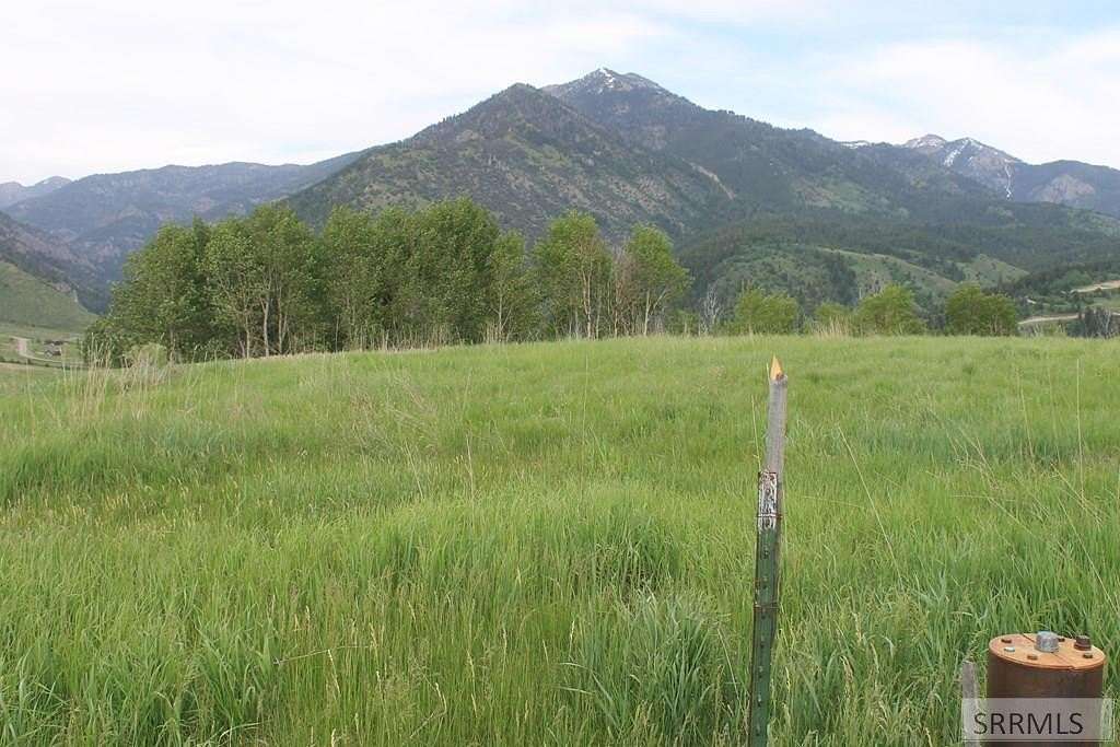 41.2 Acres of Recreational Land for Sale in Irwin, Idaho