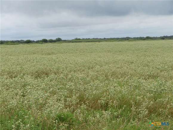 30.73 Acres of Recreational Land & Farm for Sale in Edna, Texas