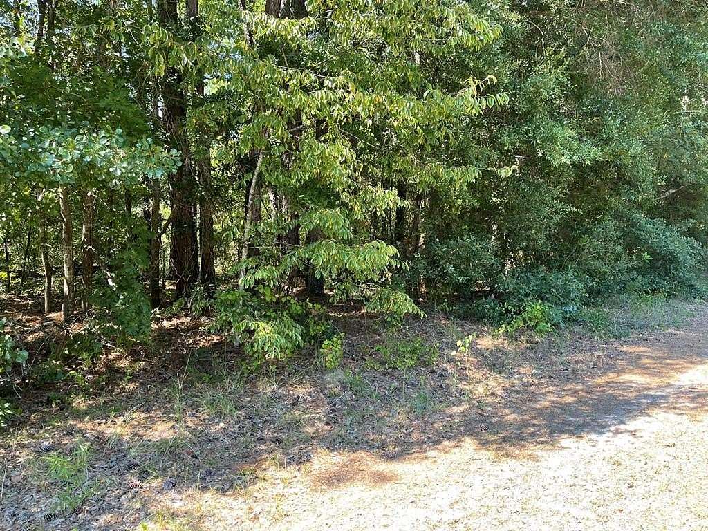 0.65 Acres of Residential Land for Sale in Orangeburg, South Carolina