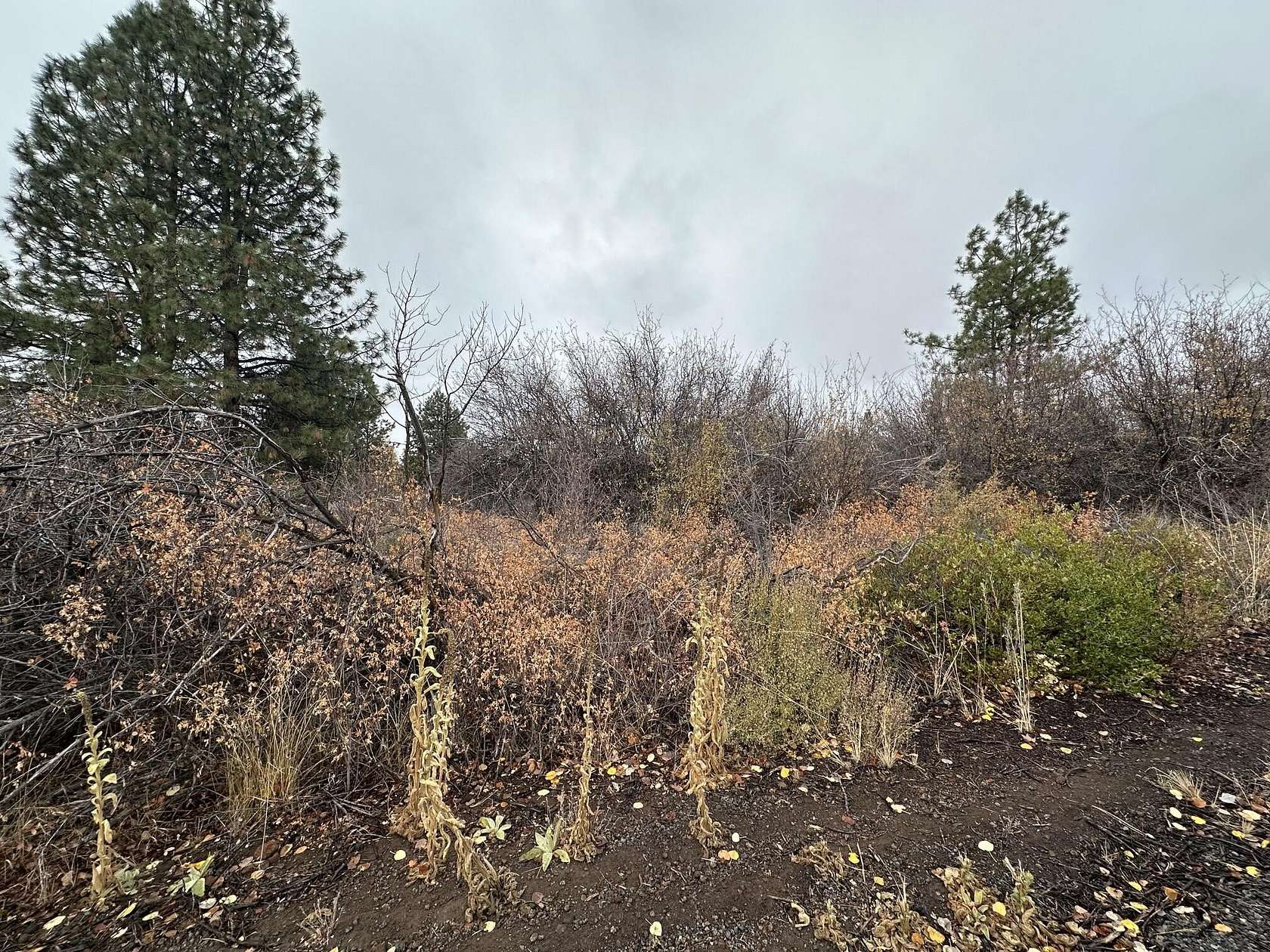 0.23 Acres of Residential Land for Sale in Klamath Falls, Oregon