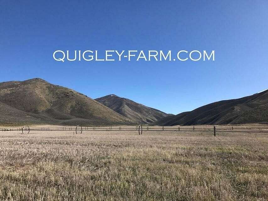 0.12 Acres of Residential Land for Sale in Hailey, Idaho