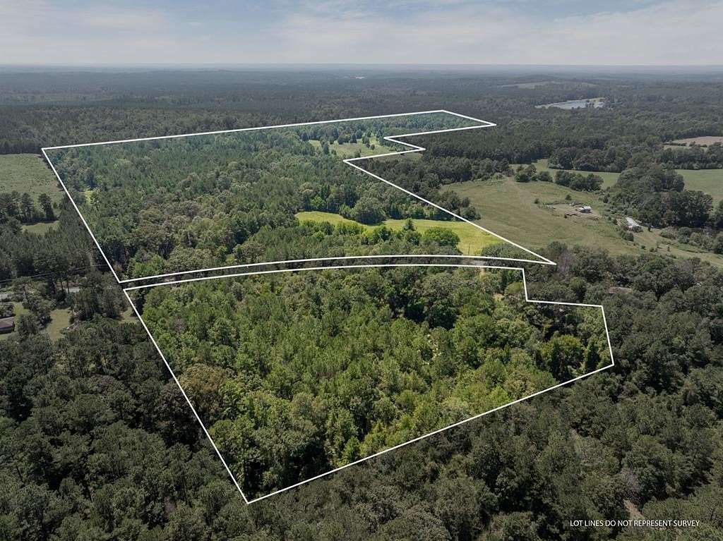 77.5 Acres of Land for Sale in Carson, Mississippi