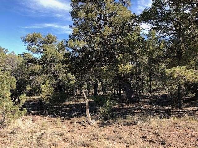 0.24 Acres of Residential Land for Sale in Tres Piedras, New Mexico