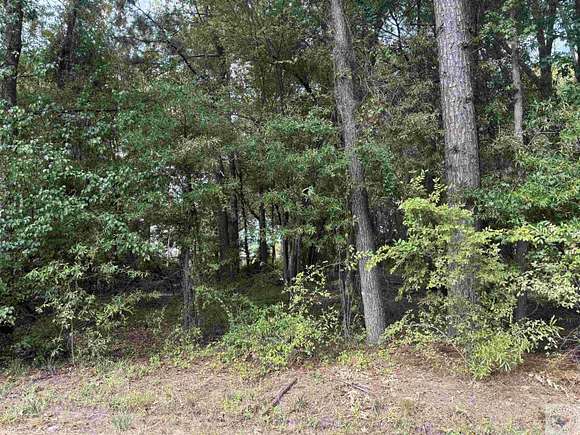 0.93 Acres of Land for Sale in Texarkana, Texas