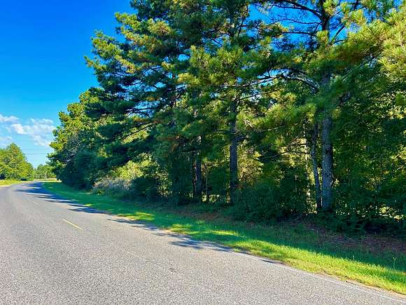 19.7 Acres of Land for Sale in Brookhaven, Mississippi