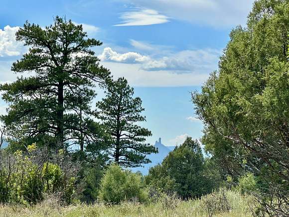 3.78 Acres of Agricultural Land for Sale in Pagosa Springs, Colorado