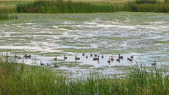 293 Acres of Recreational Land & Farm for Sale in Bridgeport, Nebraska