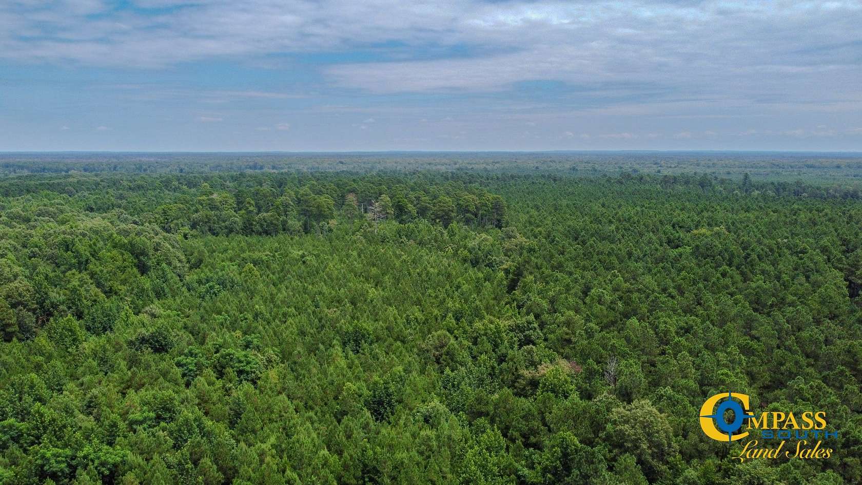 150 Acres of Recreational Land for Sale in Rison, Arkansas