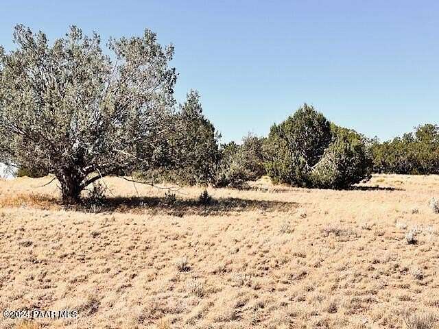 10 Acres of Residential Land for Sale in Seligman, Arizona