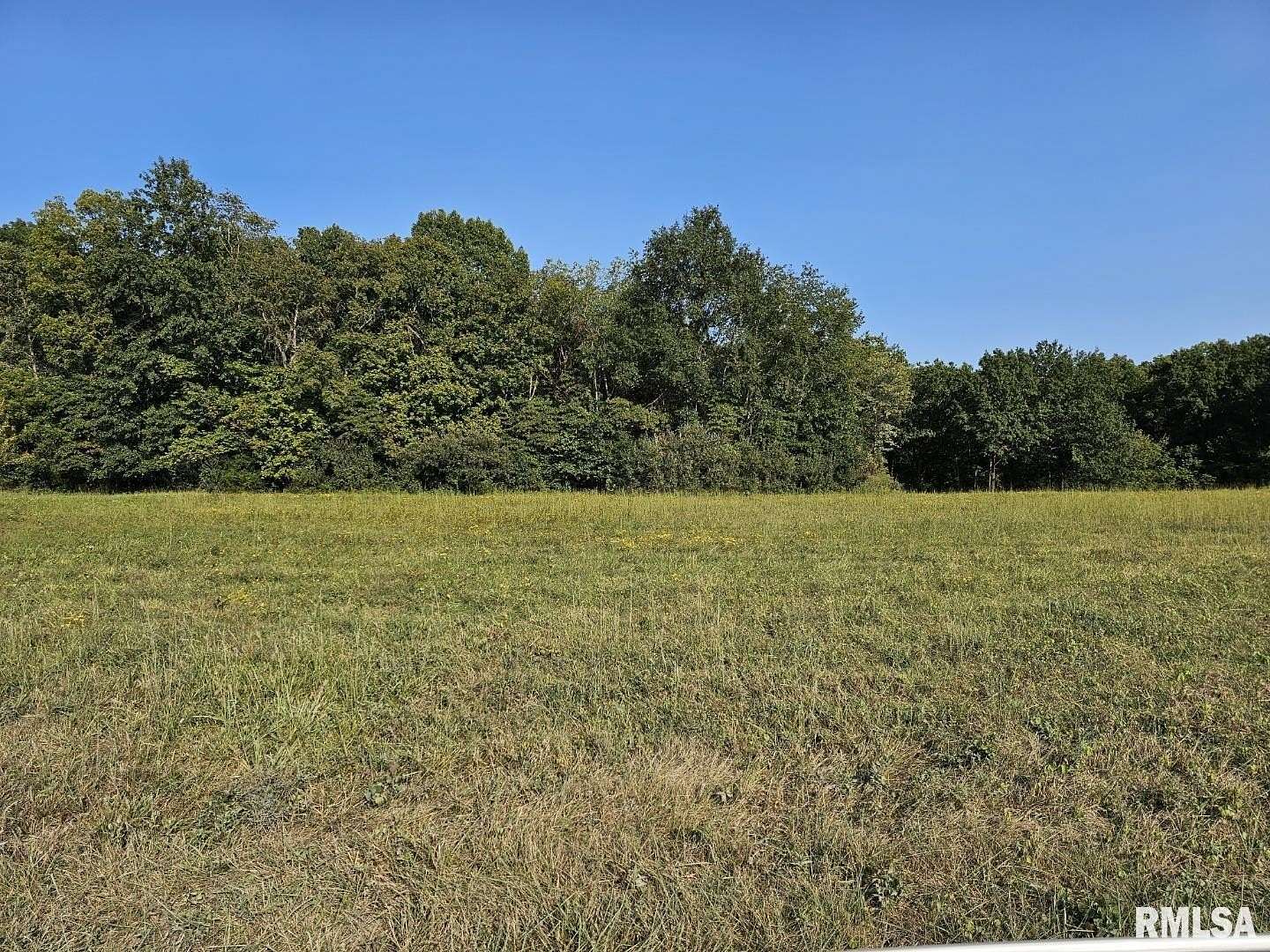 43.05 Acres of Land for Sale in Opdyke, Illinois