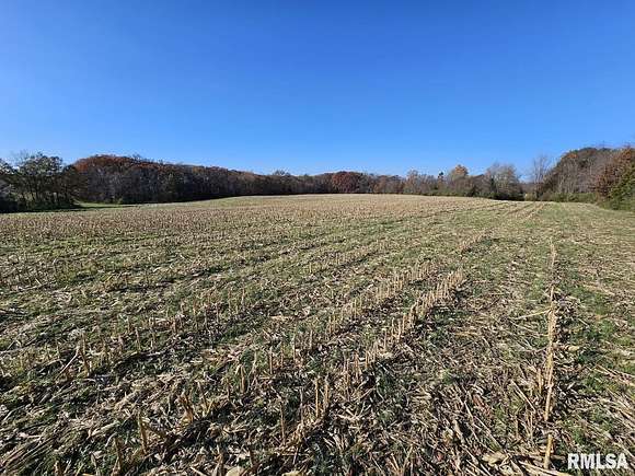 43.05 Acres of Land for Sale in Opdyke, Illinois