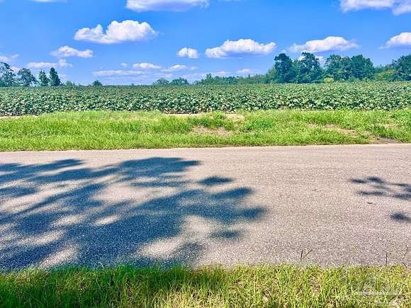 4.04 Acres of Residential Land for Sale in Jay, Florida