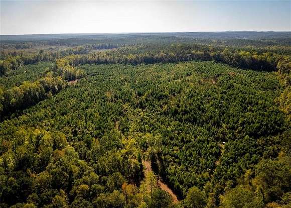 102 Acres of Recreational Land & Farm for Sale in Salem, Alabama