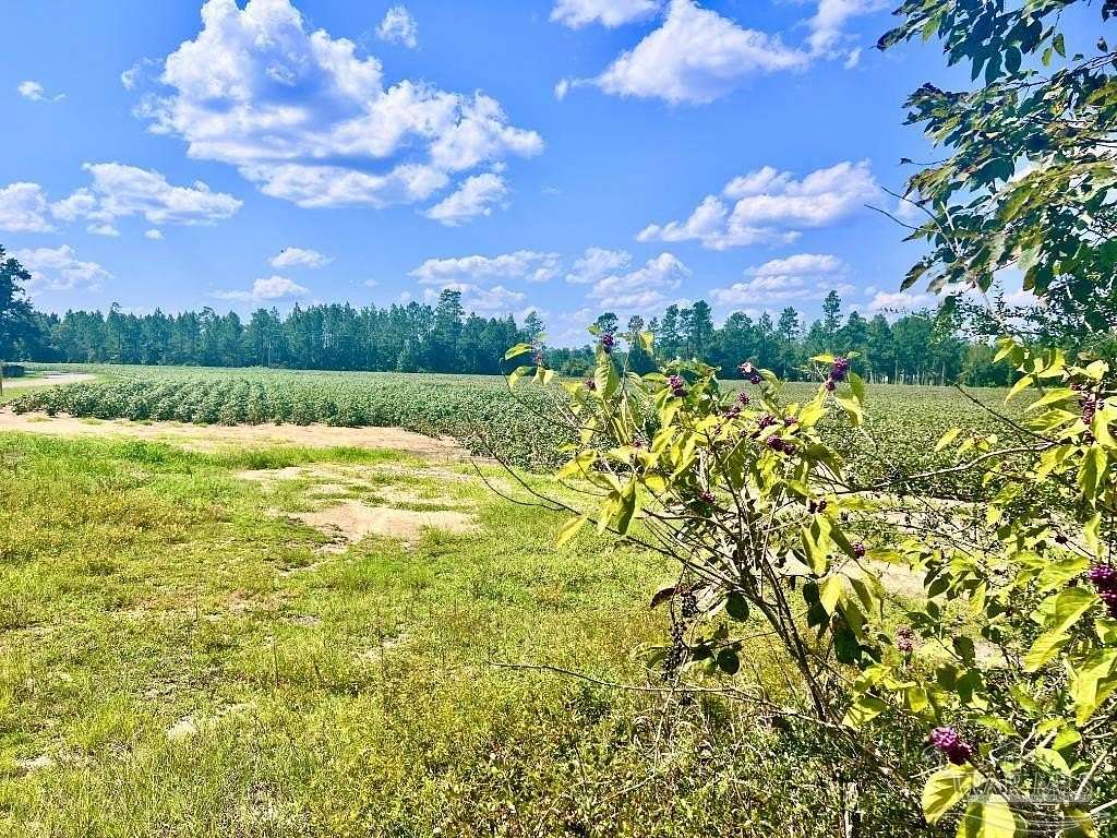 4 Acres of Residential Land for Sale in Jay, Florida