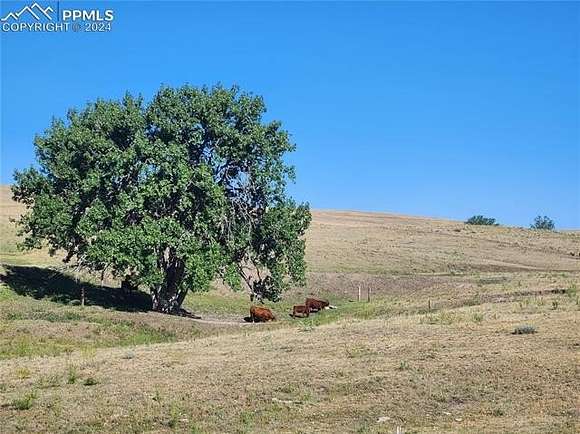 39.73 Acres of Land for Sale in Ramah, Colorado