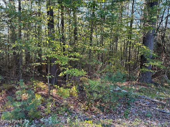 1 Acre of Residential Land for Sale in Dingmans Ferry, Pennsylvania