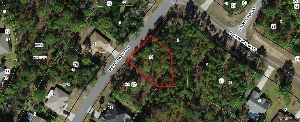 0.28 Acres of Land for Sale in Homosassa, Florida