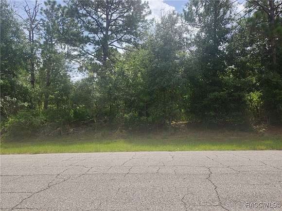 0.23 Acres of Residential Land for Sale in Citrus Springs, Florida