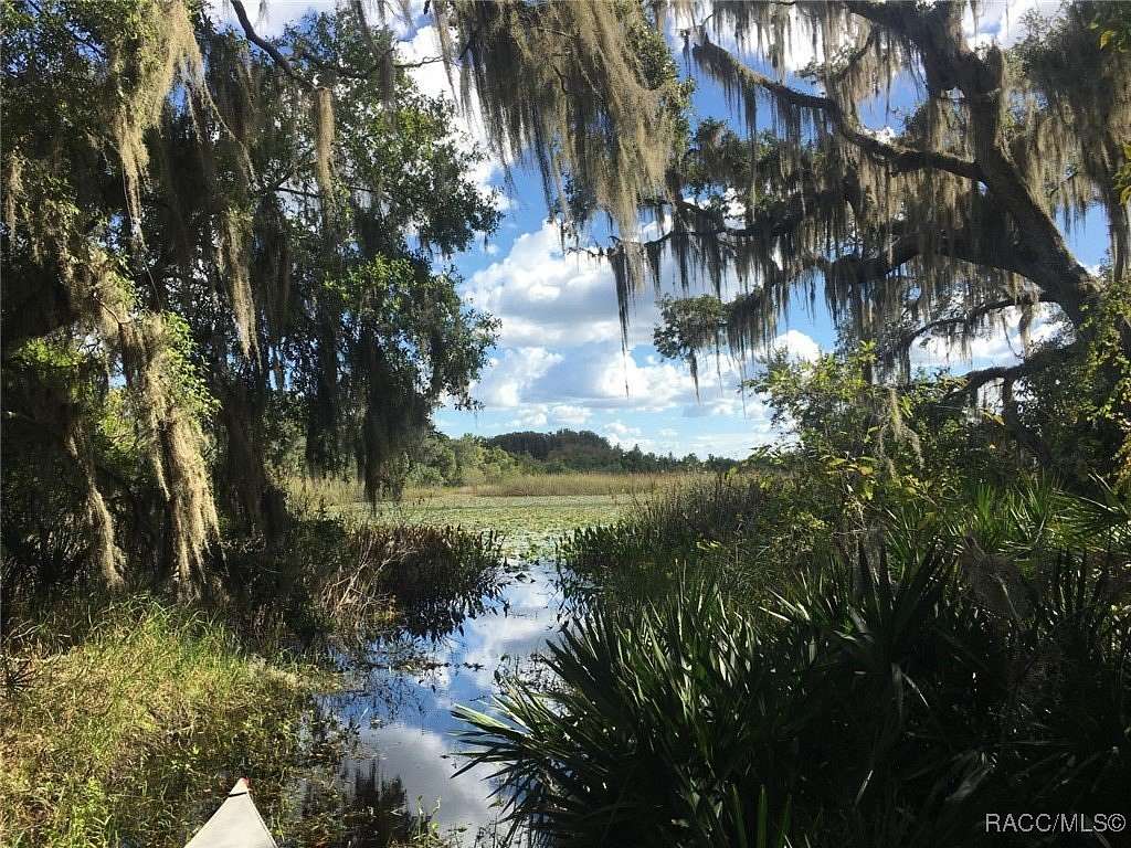 72.16 Acres of Land for Sale in Inverness, Florida