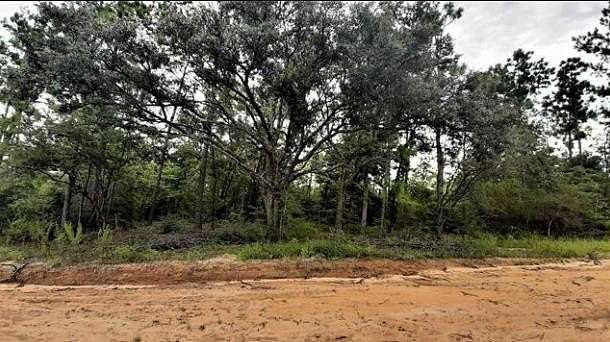 1 Acre of Residential Land for Sale in Alford, Florida