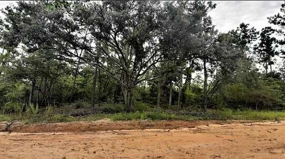 1 Acre of Residential Land for Sale in Alford, Florida