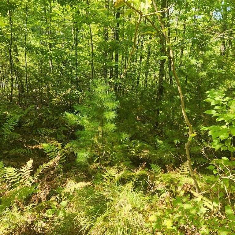 5 Acres of Land for Sale in Stone Lake, Wisconsin