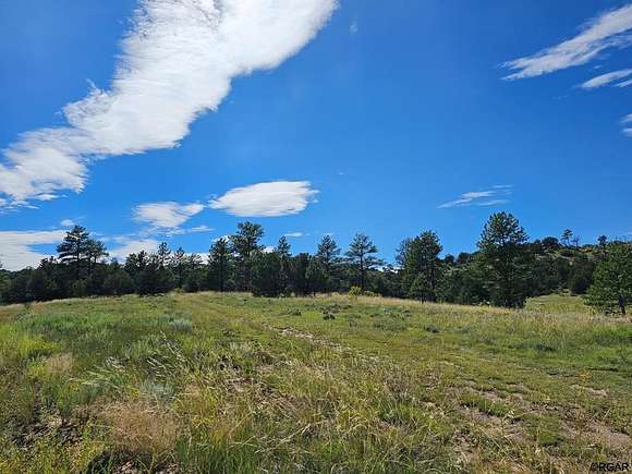 5.24 Acres of Land for Sale in Cotopaxi, Colorado