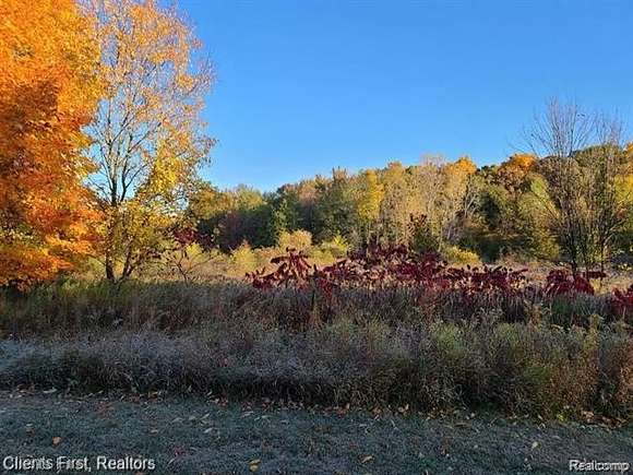 24.05 Acres of Recreational Land for Sale in Manchester, Michigan