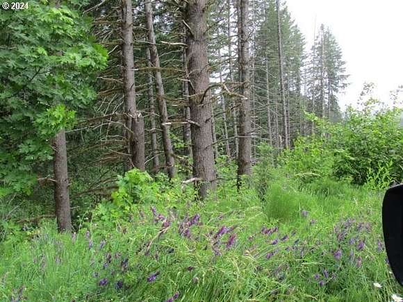 170.89 Acres of Land for Sale in Yamhill, Oregon