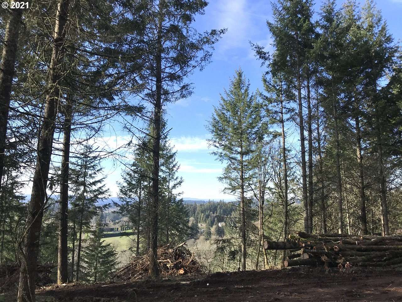 13.17 Acres of Land for Sale in West Linn, Oregon