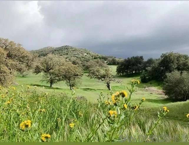 463 Acres of Recreational Land with Home for Sale in Julian, California