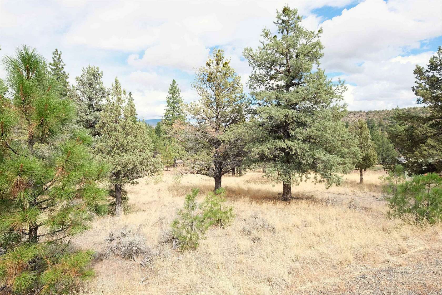 0.3 Acres of Residential Land for Sale in Weed, California