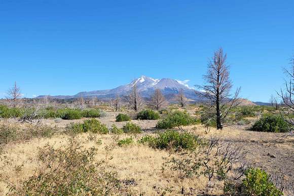 20.1 Acres of Recreational Land for Sale in Weed, California