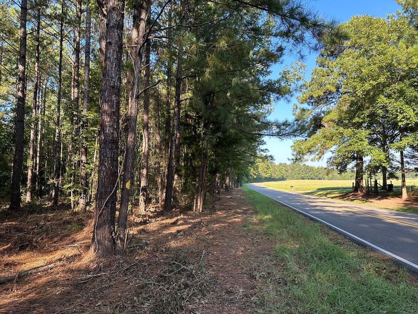 3 Acres of Land for Sale in Purvis, Mississippi