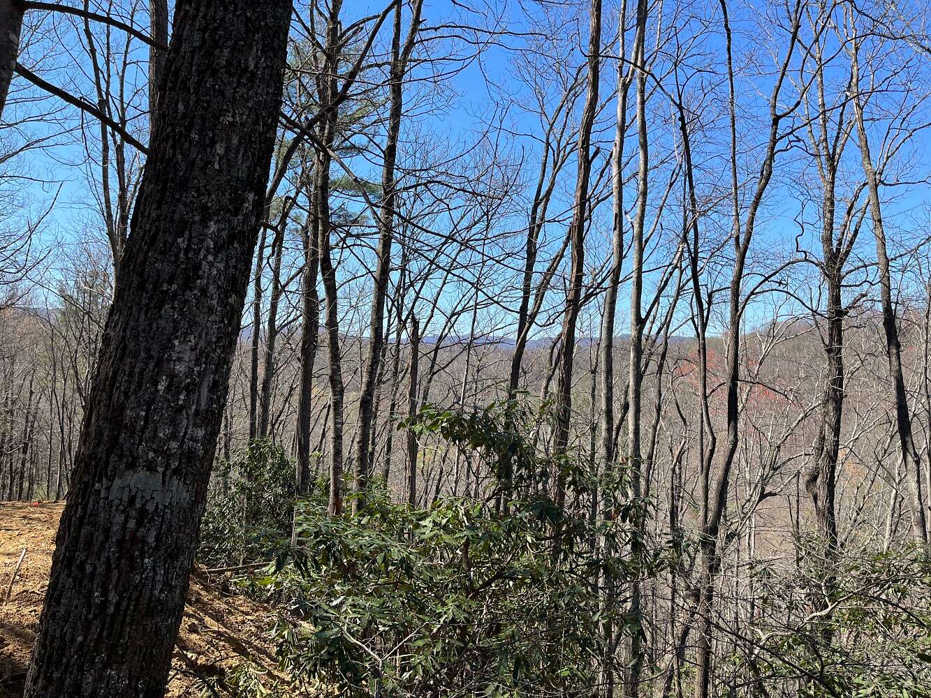 6 Acres of Residential Land for Sale in Deep Gap, North Carolina