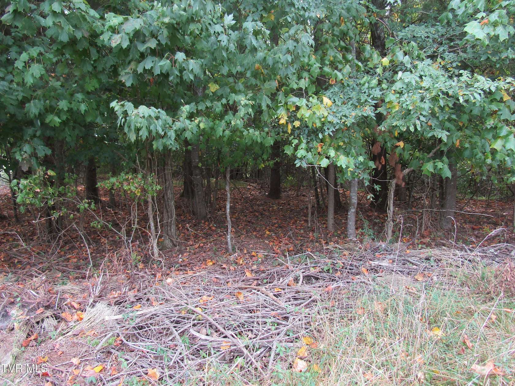 0.44 Acres of Residential Land for Sale in Piney Flats, Tennessee