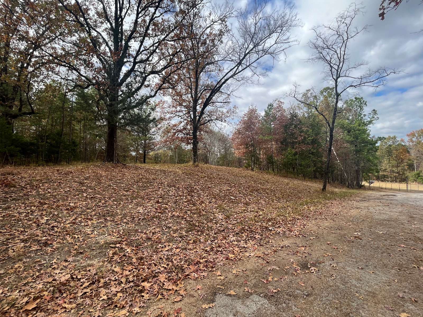 19.5 Acres of Recreational Land for Sale in Grenada, Mississippi