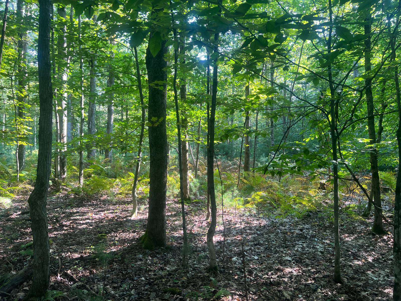 3.03 Acres of Land for Sale in Vienna, New York