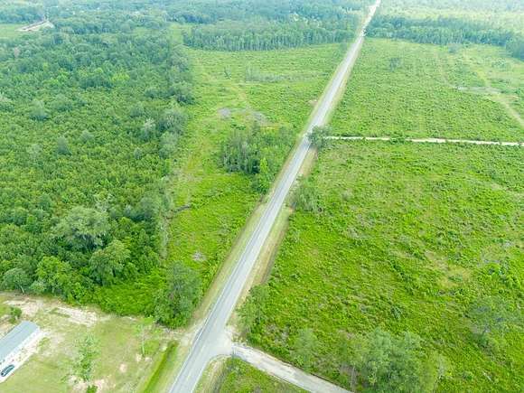 20 Acres of Land for Sale in Stockton, Georgia