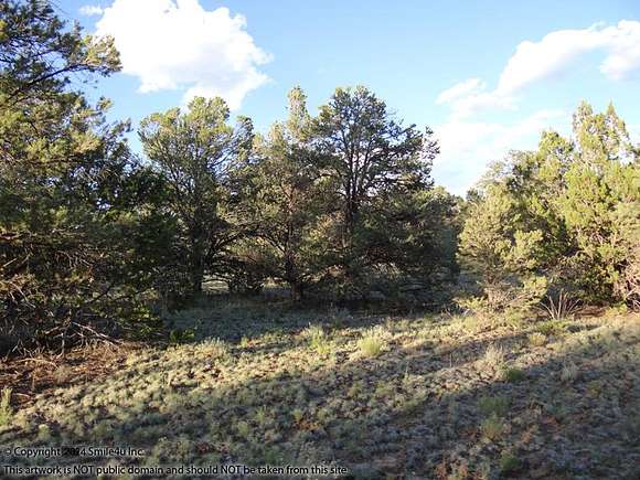 6.28 Acres of Residential Land for Sale in Pinehill, New Mexico