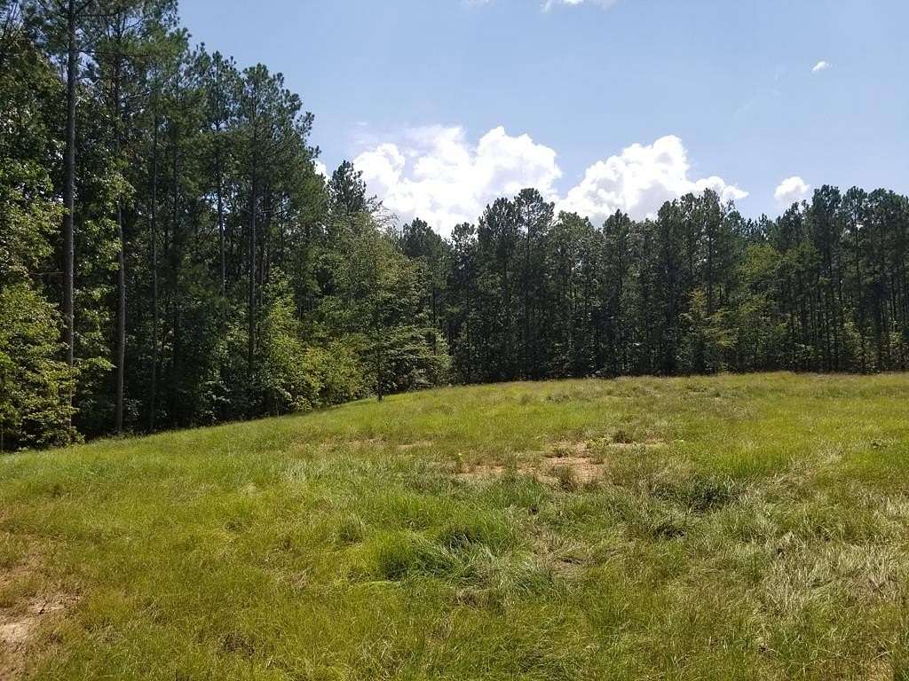 Residential Land for Sale in Fruithurst, Alabama