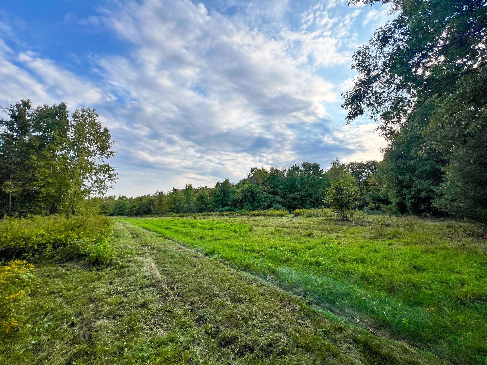 53.8 Acres of Recreational Land & Farm for Sale in Waterford Town, Maine