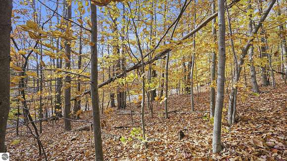 1.09 Acres of Residential Land for Sale in Thompsonville, Michigan