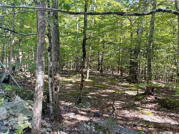 0.6 Acres of Residential Land for Sale in Hawley, Pennsylvania